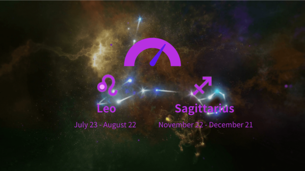 Leo and Sagittarius Compatibility Percentage: Love, Marriage and Sex