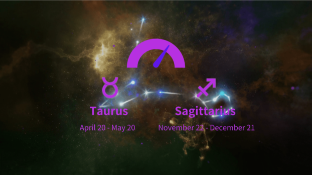 Taurus and Sagittarius Compatibility Percentage: Love, Marriage and Sex